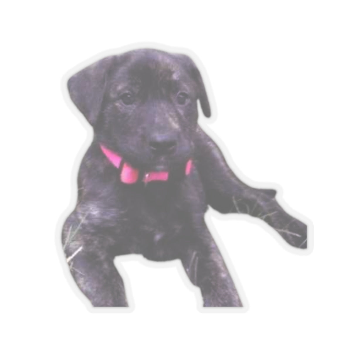Cute Puppy Sticker for Dog Dad gifts Brindle Dog Sticker for Dog Lover Gift Dog Mom Gift