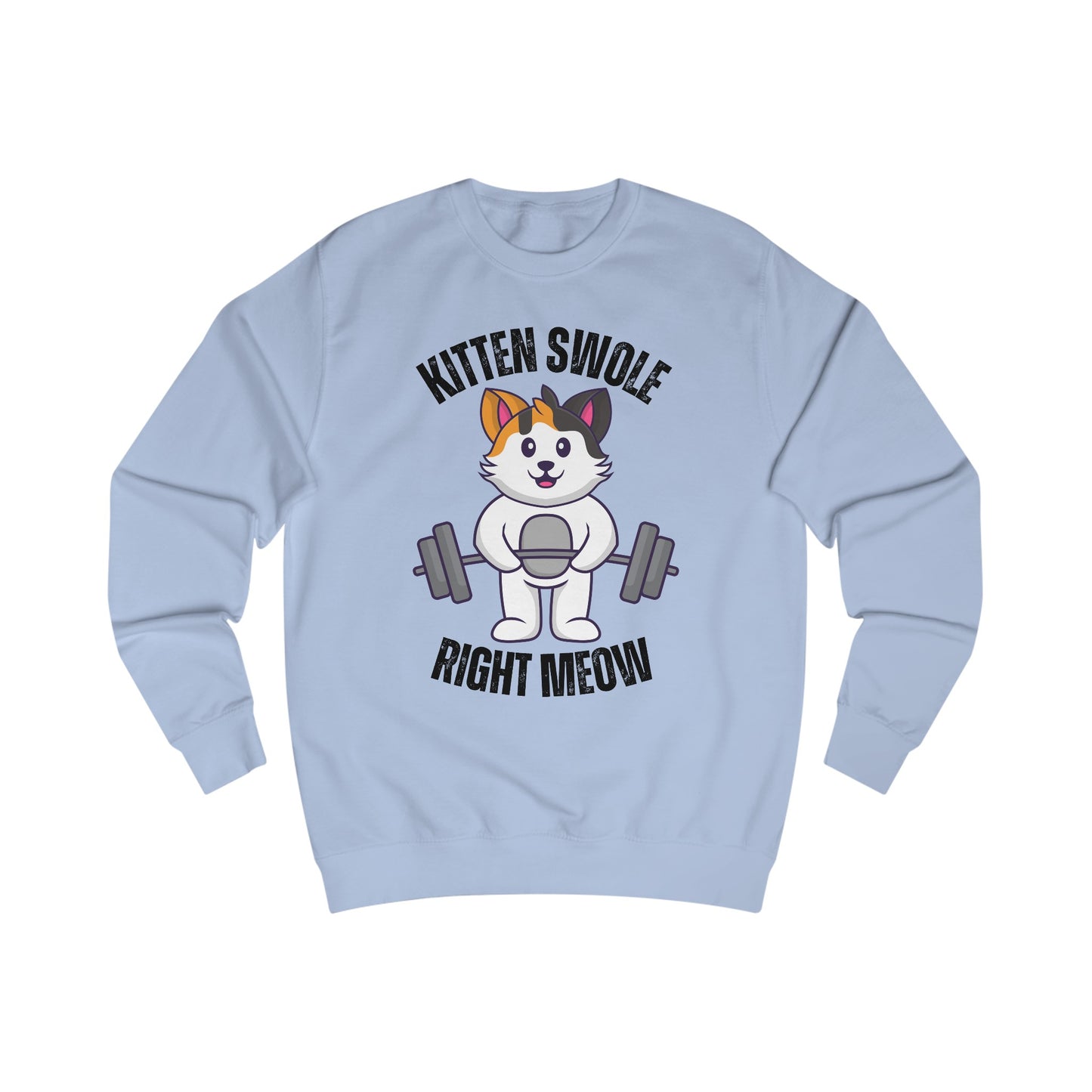 Cat Lifting Weights Sweatshirt for Gym gift for Cat Mom Sweatshirts Powerlifting Cats Working Out Cats Weightlifting Sweatshirt Funny Kitty Gifts