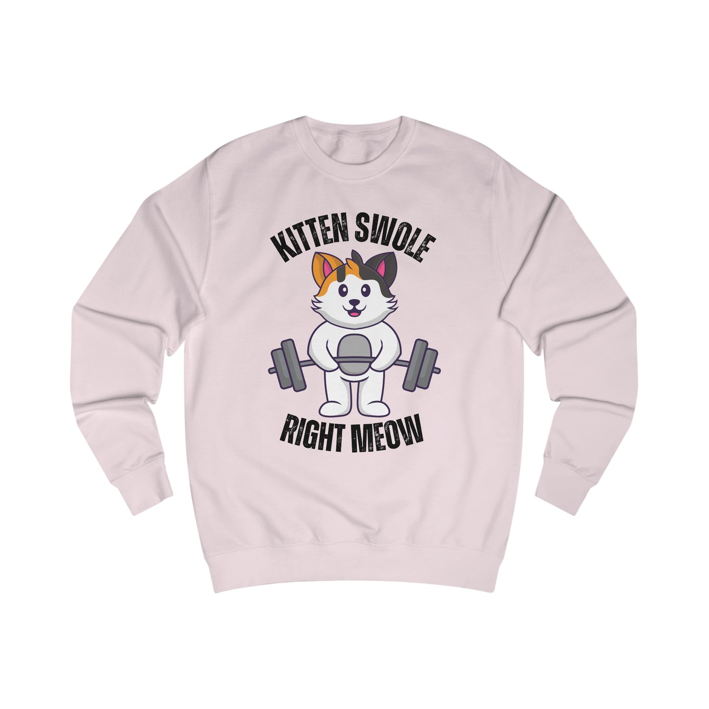 Cat Lifting Weights Sweatshirt for Gym gift for Cat Mom Sweatshirts Powerlifting Cats Working Out Cats Weightlifting Sweatshirt Funny Kitty Gifts