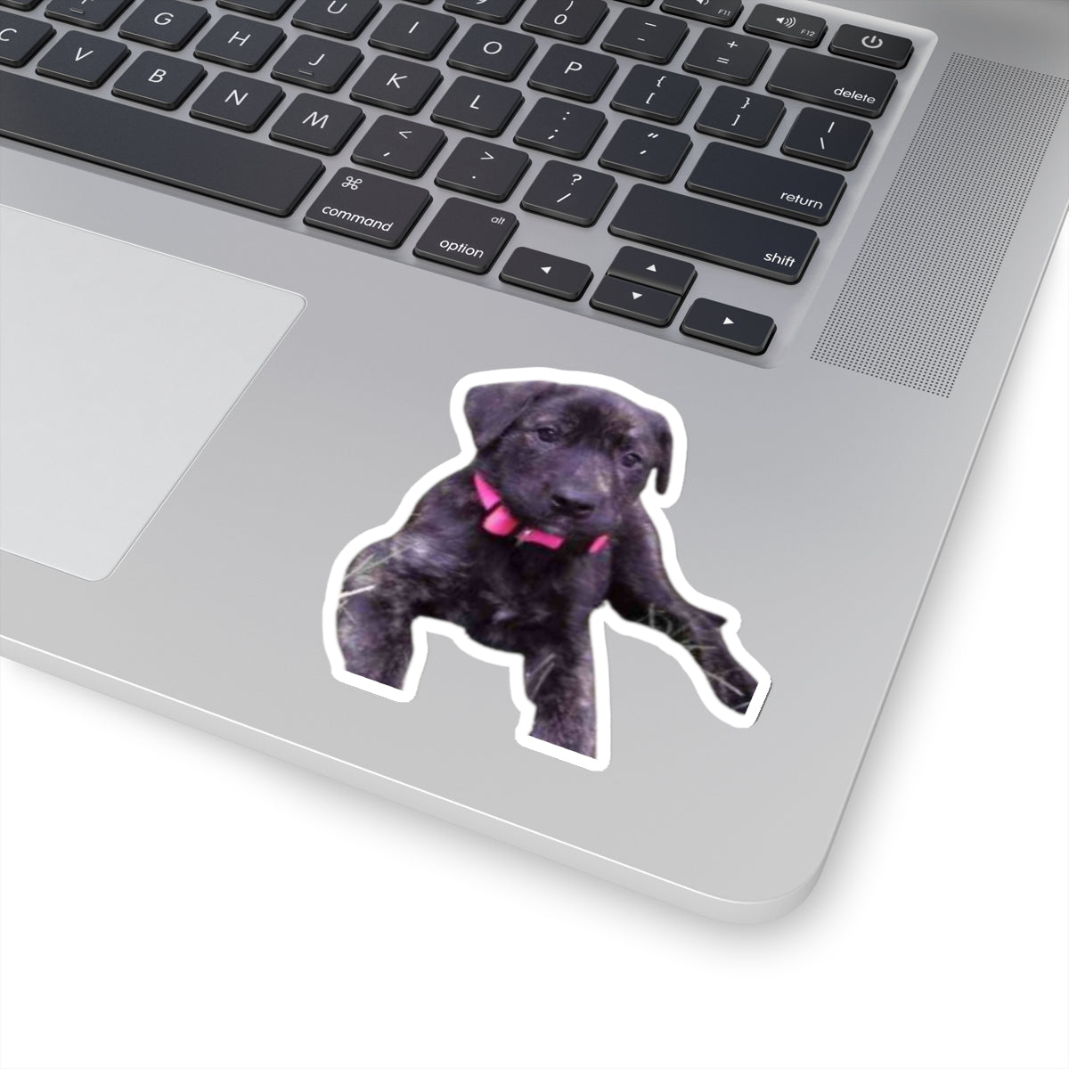 Cute Puppy Sticker for Dog Dad gifts Brindle Dog Sticker for Dog Lover Gift Dog Mom Gift