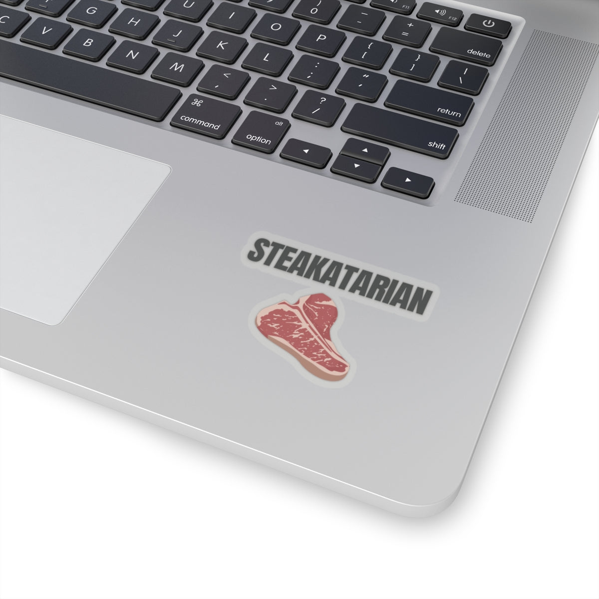Steak Lover sticker for Meat Lover gift for Grilling gifts for Barbecue BBQ Lovers presents for Him Funny Steakatarian  Carnivore Stickers