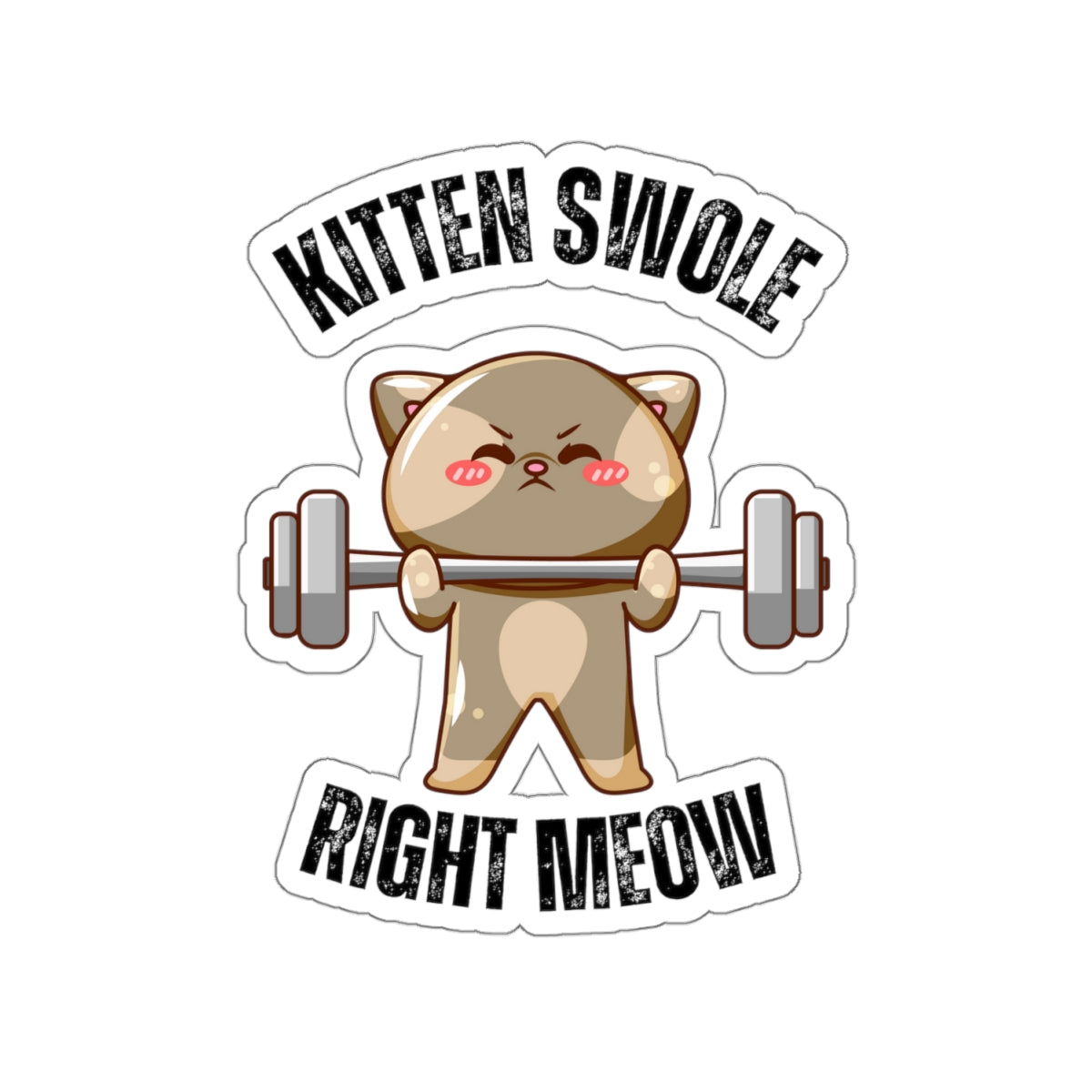 Funny CAT Weightlifting Sticker for Gym Lover gift for Fitness Lover gift for Cat Lover Sticker Funny Cat Stickers Kitten Swole Right Meow