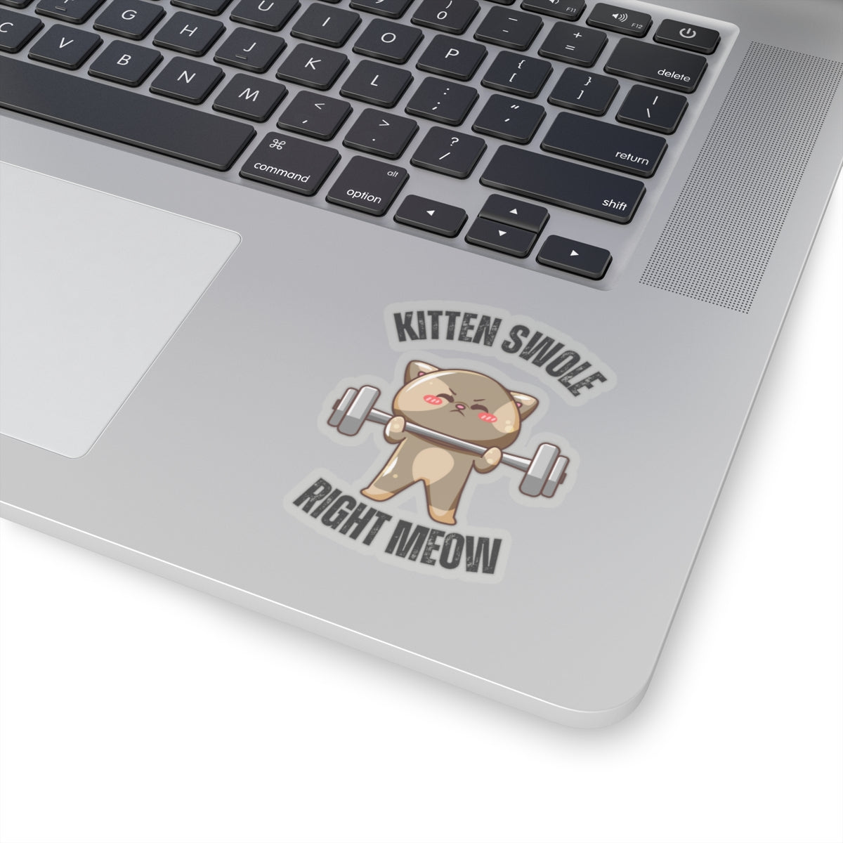 Funny CAT Weightlifting Sticker for Gym Lover gift for Fitness Lover gift for Cat Lover Sticker Funny Cat Stickers Kitten Swole Right Meow