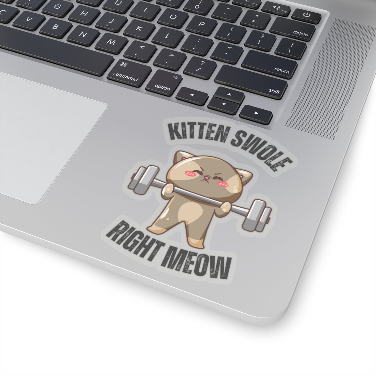 Funny CAT Weightlifting Sticker for Gym Lover gift for Fitness Lover gift for Cat Lover Sticker Funny Cat Stickers Kitten Swole Right Meow