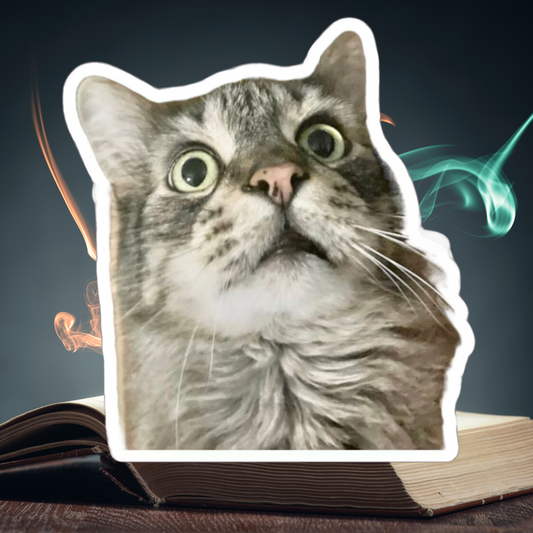 Funny Cat Sticker for Cat Lover Gift for Cat Mom Cute Cat Stickers for Funny gifts for Cat Lovers Adorable Maine Coon Kitty