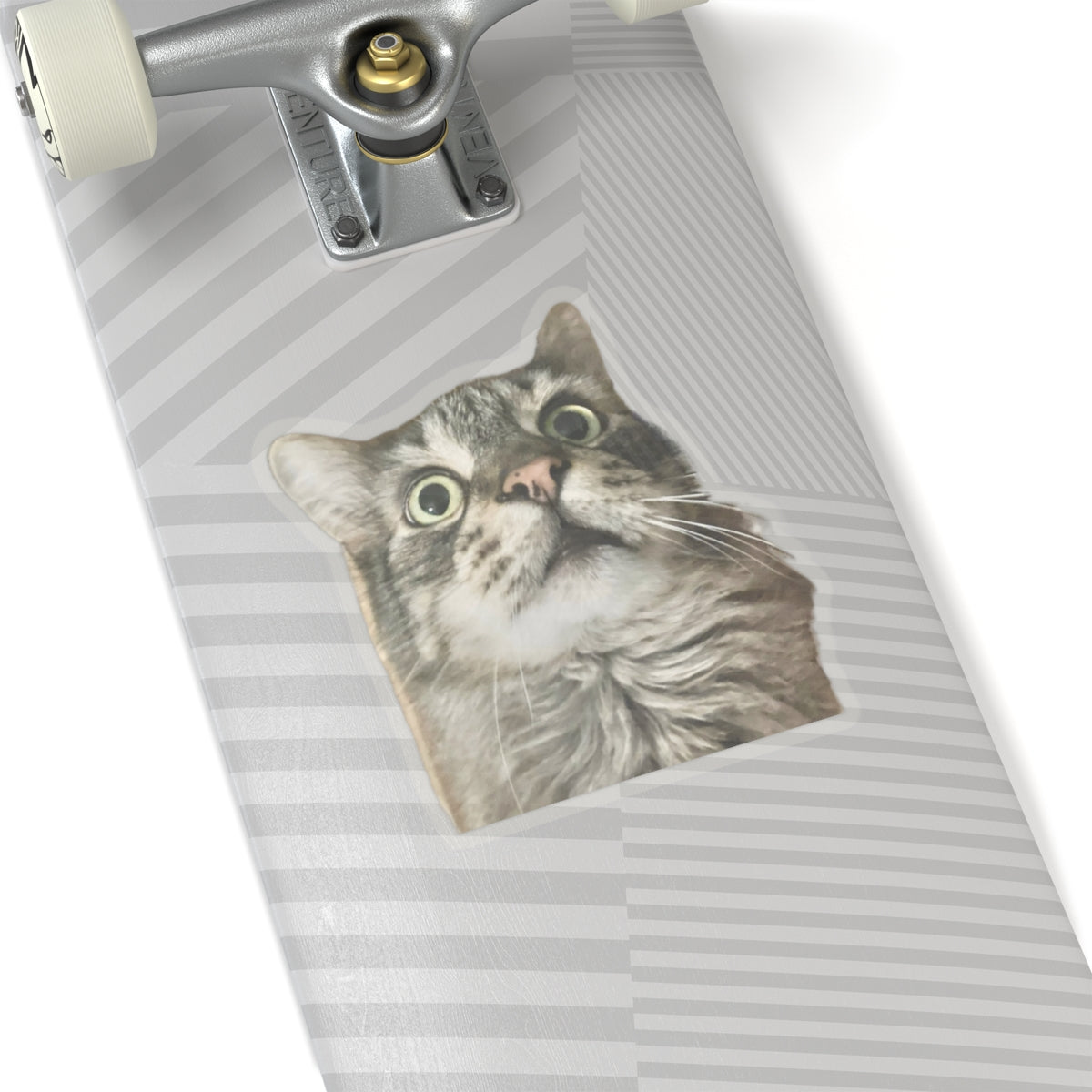 Funny Cat Sticker for Cat Lover Gift for Cat Mom Cute Cat Stickers for Funny gifts for Cat Lovers Adorable Maine Coon Kitty
