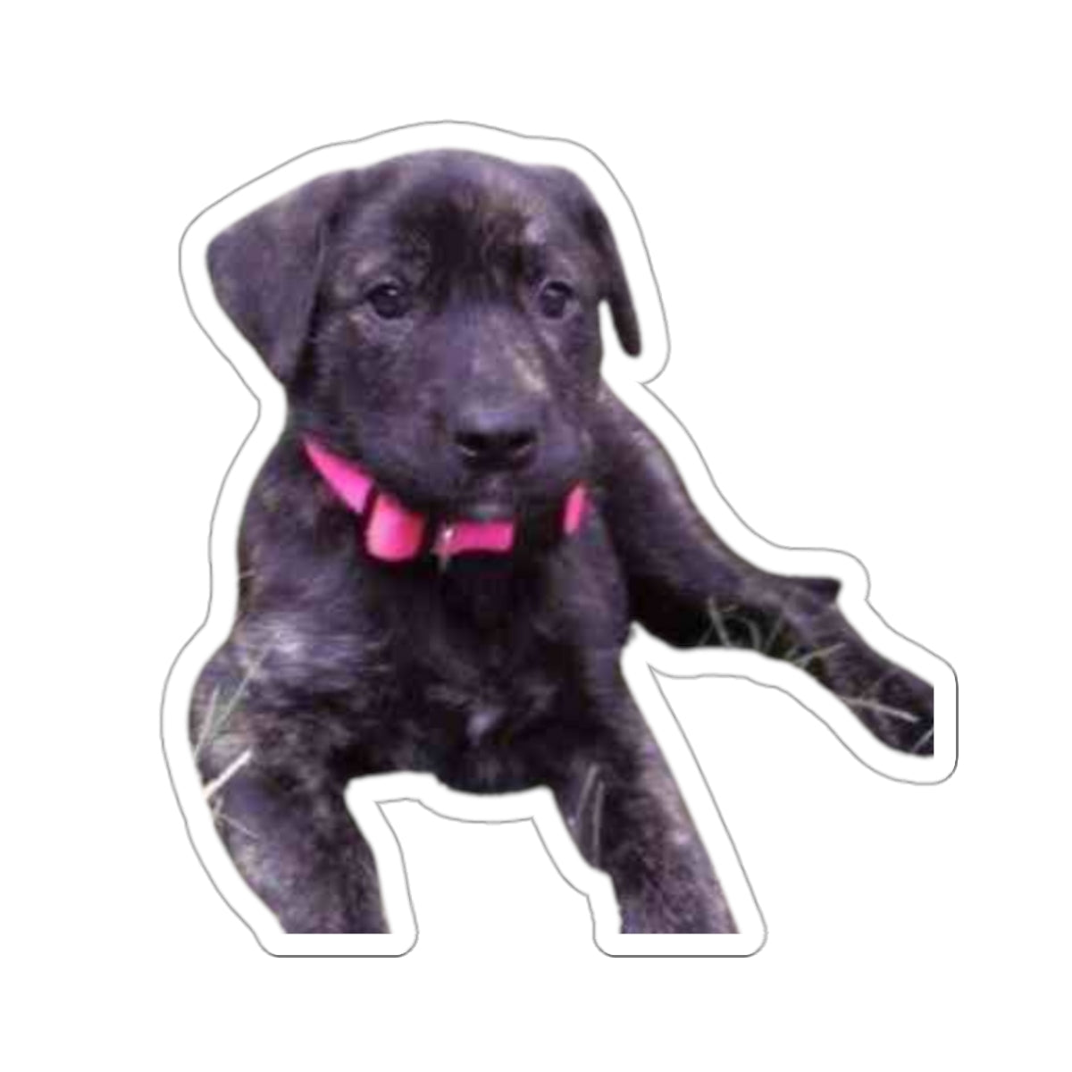 Cute Puppy Sticker for Dog Dad gifts Brindle Dog Sticker for Dog Lover Gift Dog Mom Gift
