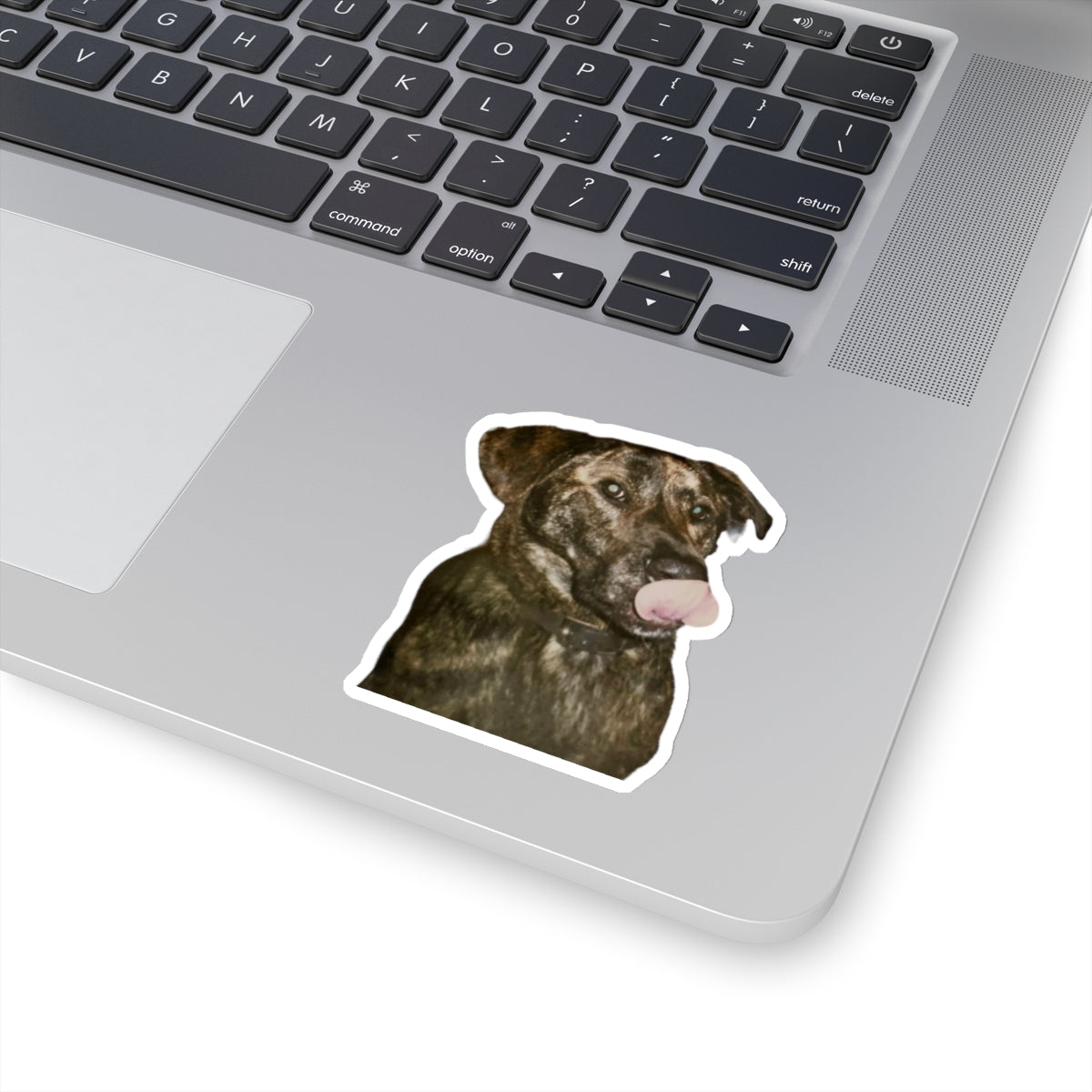 Funny Dog Sticker for Dog Lover gift for Dog Mom Cute Brindle Dog Stickers for Dog Dad Gifts for Her Water bottle sticker for laptop