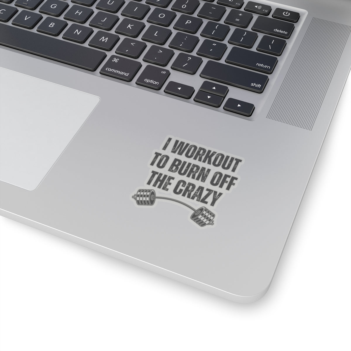 Funny Workout Sticker for Gym Lover gift for Fitness Lover sticker, Gym Sticker, I Workout to Burn Off the Crazy Sticker