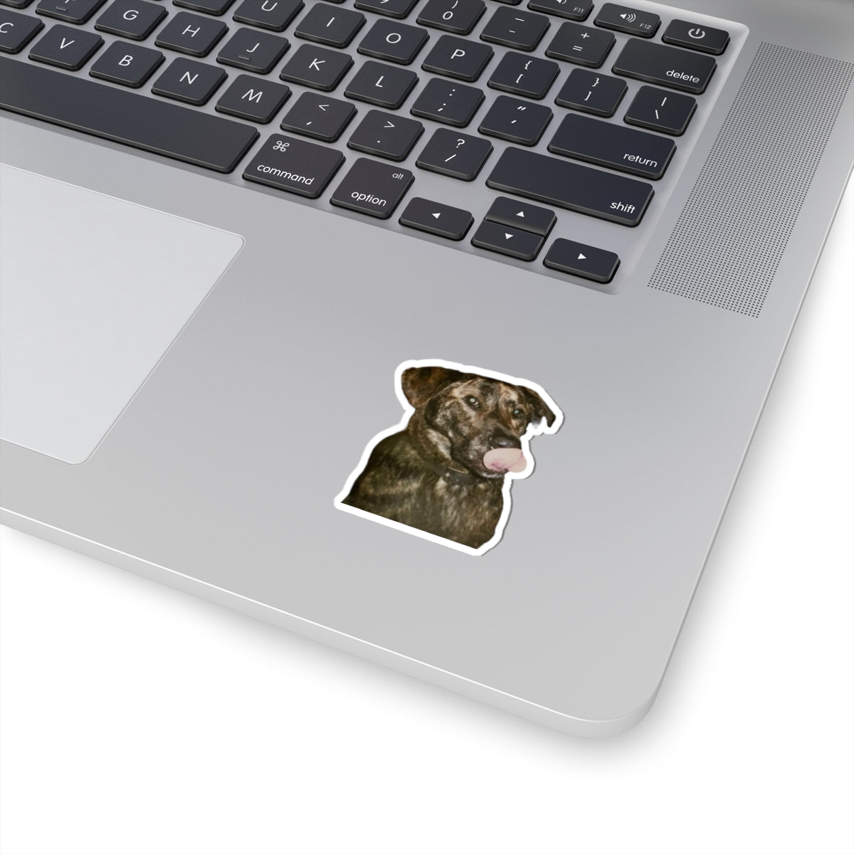 Funny Dog Sticker for Dog Lover gift for Dog Mom Cute Brindle Dog Stickers for Dog Dad Gifts for Her Water bottle sticker for laptop
