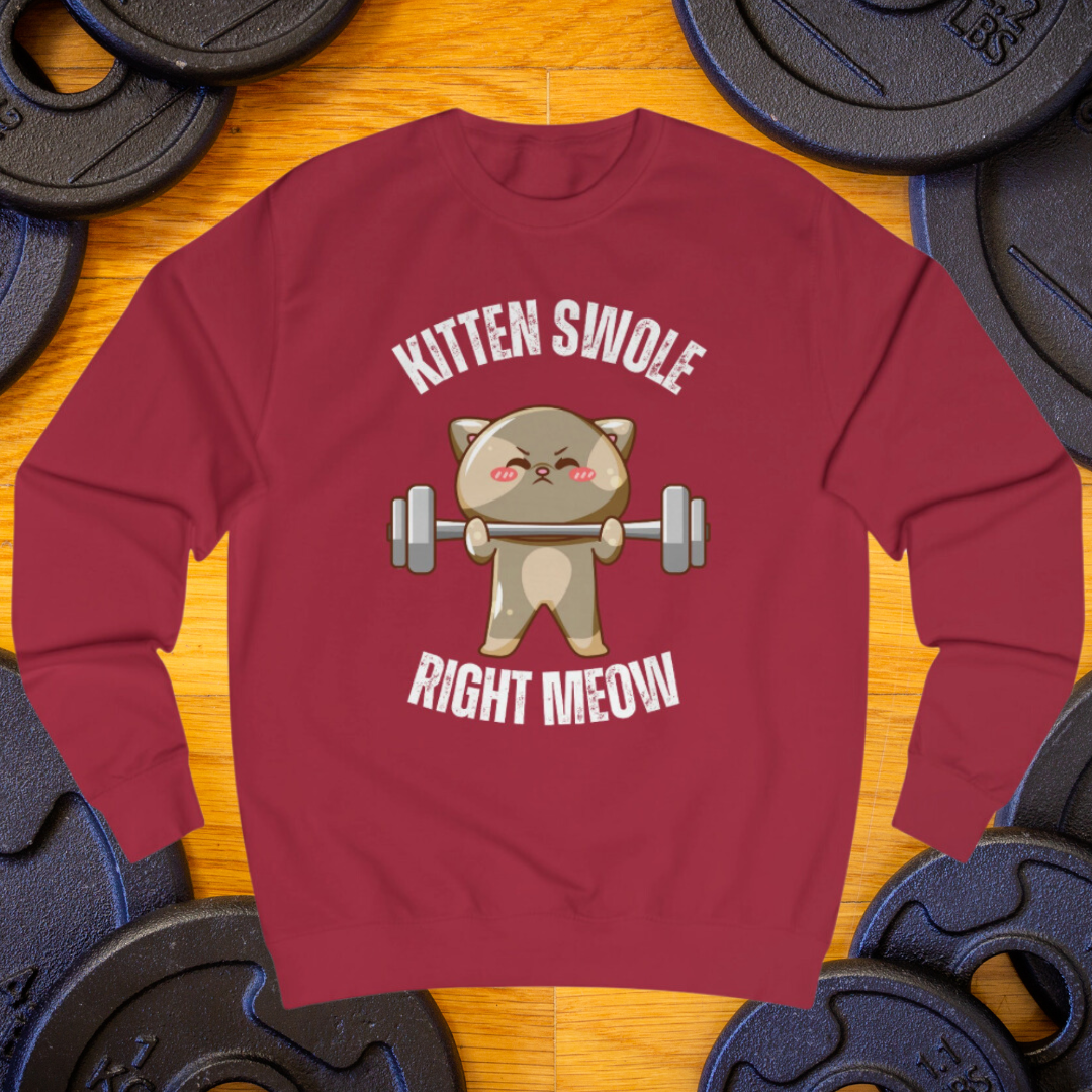 Cat SweatShirt Funny Cats sweatshirt- Cat Working out SweatShirt for Cat Lover gift for Gym Lover gift for Fitness Gift - Funny Cat Sweatshirt