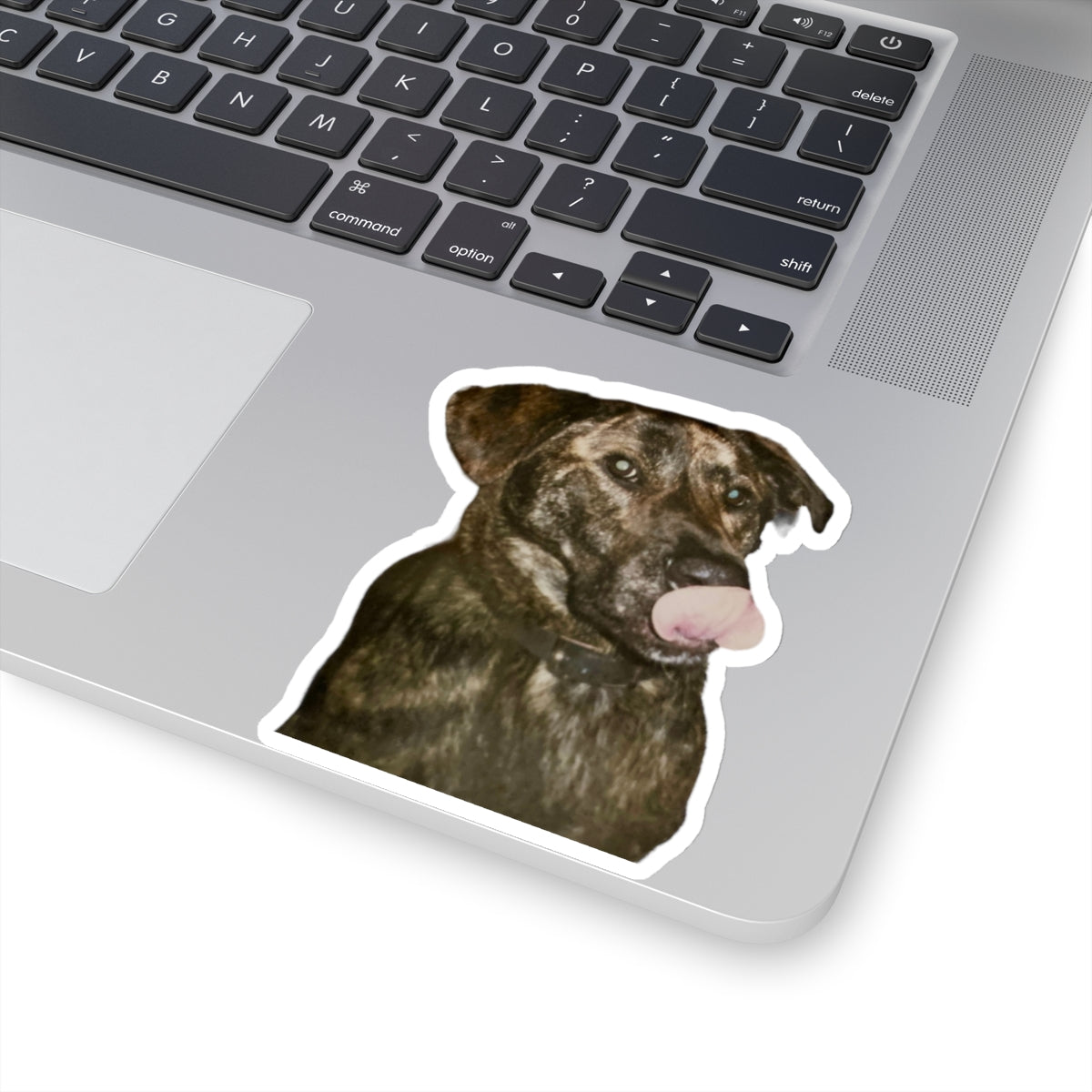 Funny Dog Sticker for Dog Lover gift for Dog Mom Cute Brindle Dog Stickers for Dog Dad Gifts for Her Water bottle sticker for laptop