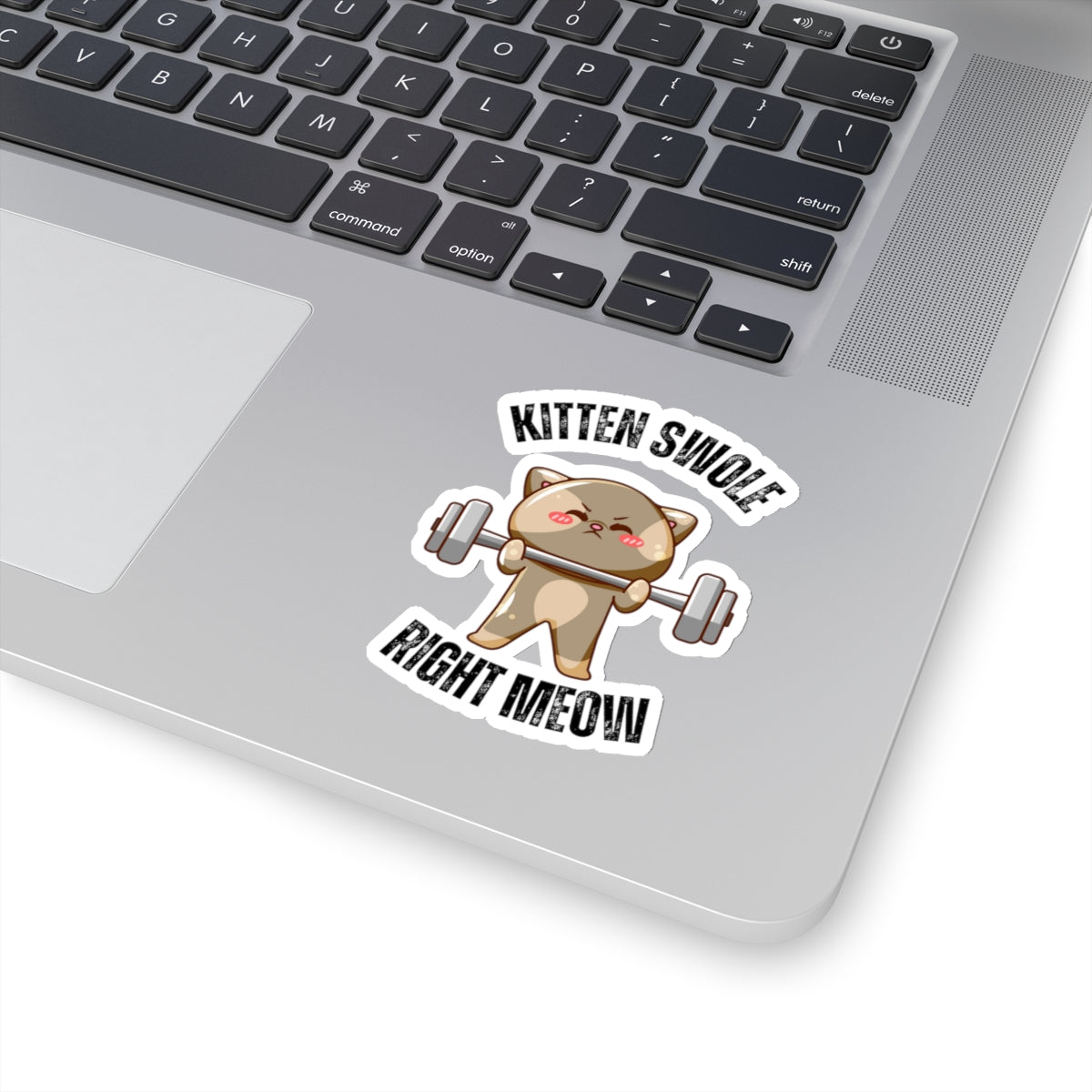 Funny CAT Weightlifting Sticker for Gym Lover gift for Fitness Lover gift for Cat Lover Sticker Funny Cat Stickers Kitten Swole Right Meow