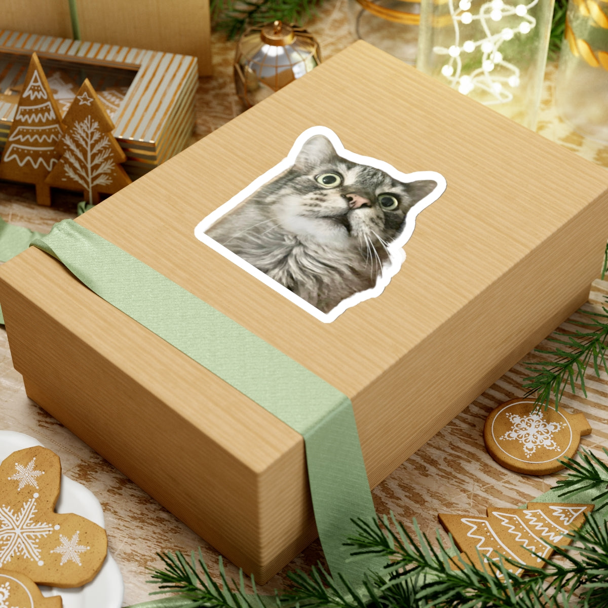 Funny Cat Sticker for Cat Lover Gift for Cat Mom Cute Cat Stickers for Funny gifts for Cat Lovers Adorable Maine Coon Kitty