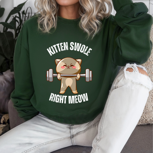 Cat SweatShirt Funny Cats sweatshirt- Cat Working out SweatShirt for Cat Lover gift for Gym Lover gift for Fitness Gift - Funny Cat Sweatshirt