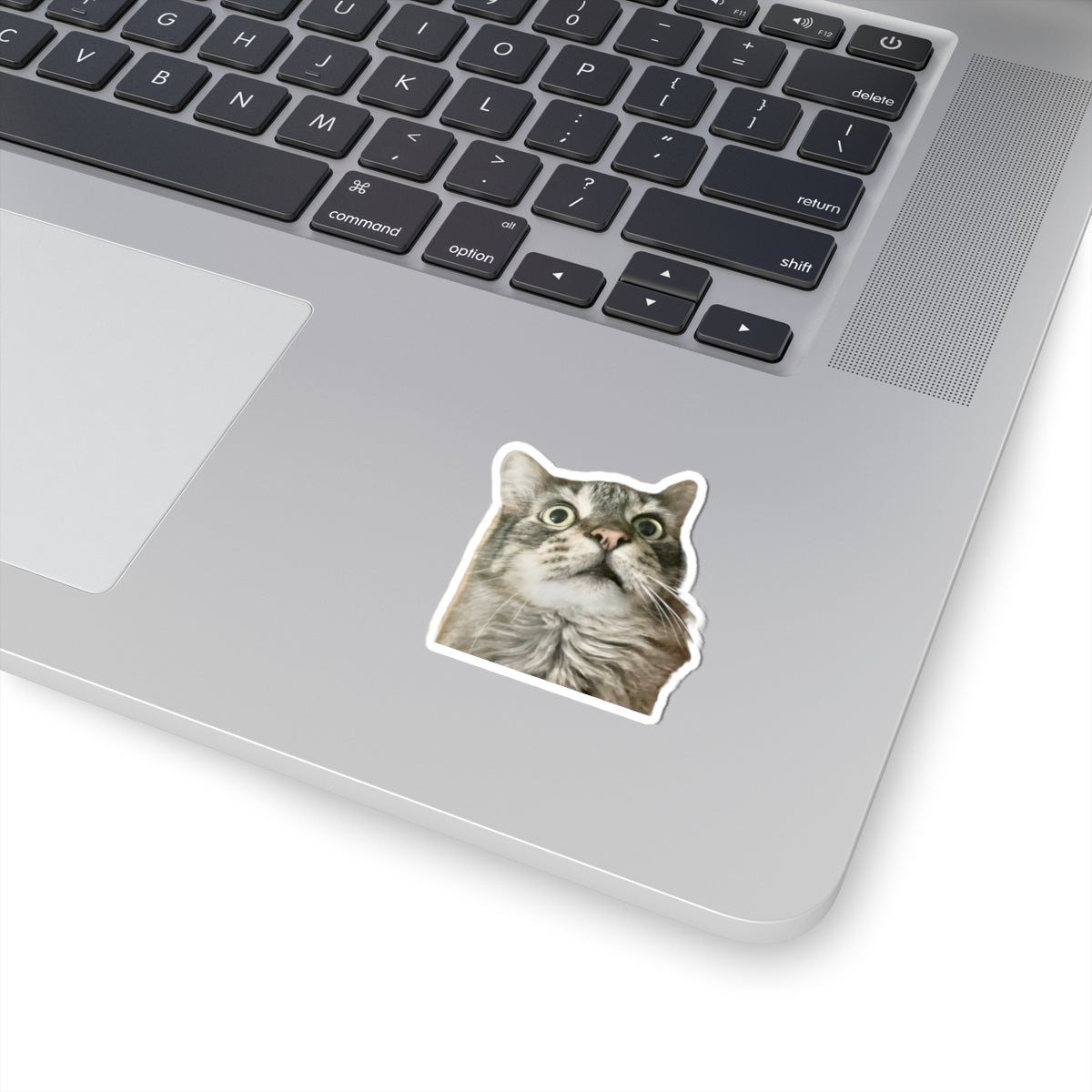 Funny Cat Sticker for Cat Lover Gift for Cat Mom Cute Cat Stickers for Funny gifts for Cat Lovers Adorable Maine Coon Kitty