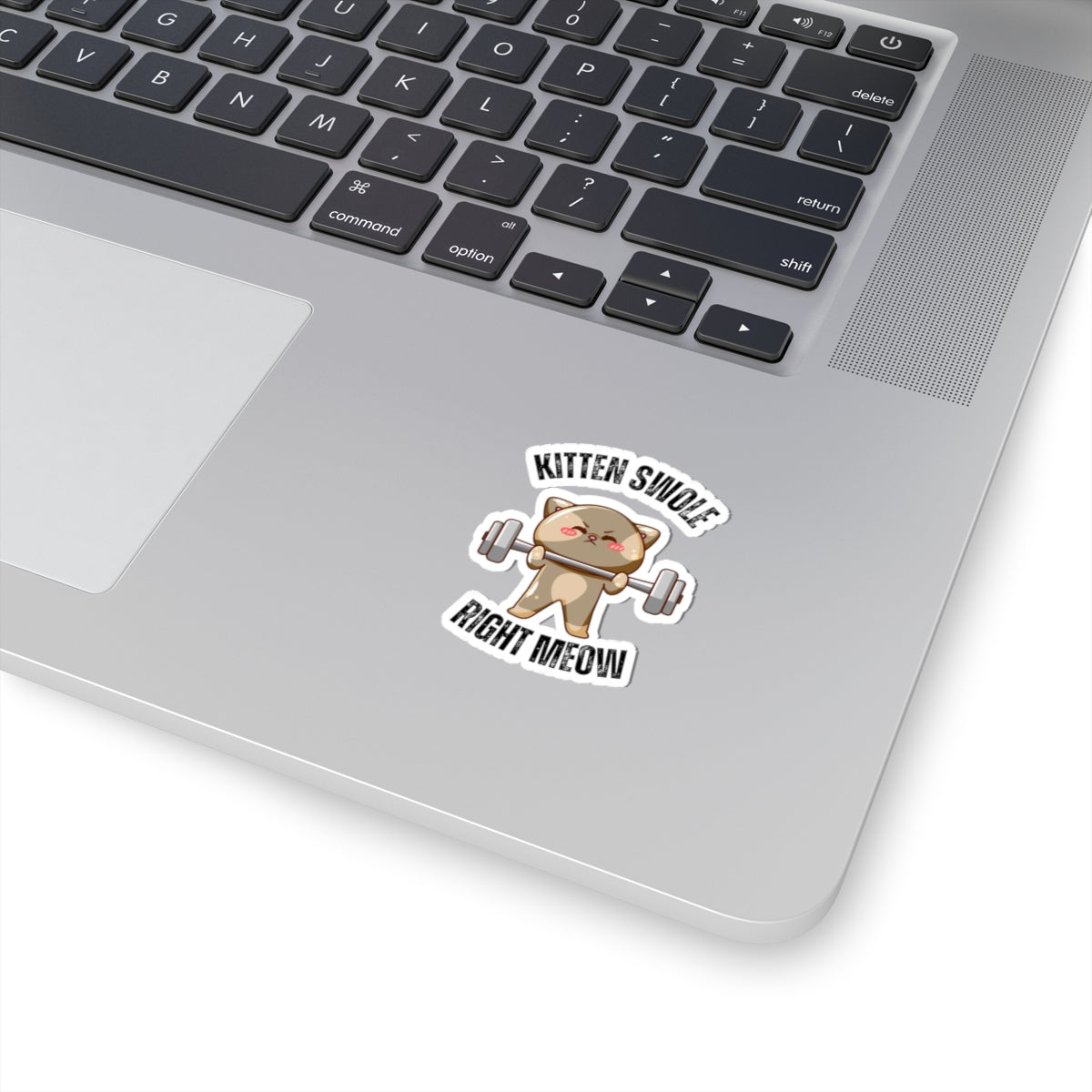 Funny CAT Weightlifting Sticker for Gym Lover gift for Fitness Lover gift for Cat Lover Sticker Funny Cat Stickers Kitten Swole Right Meow