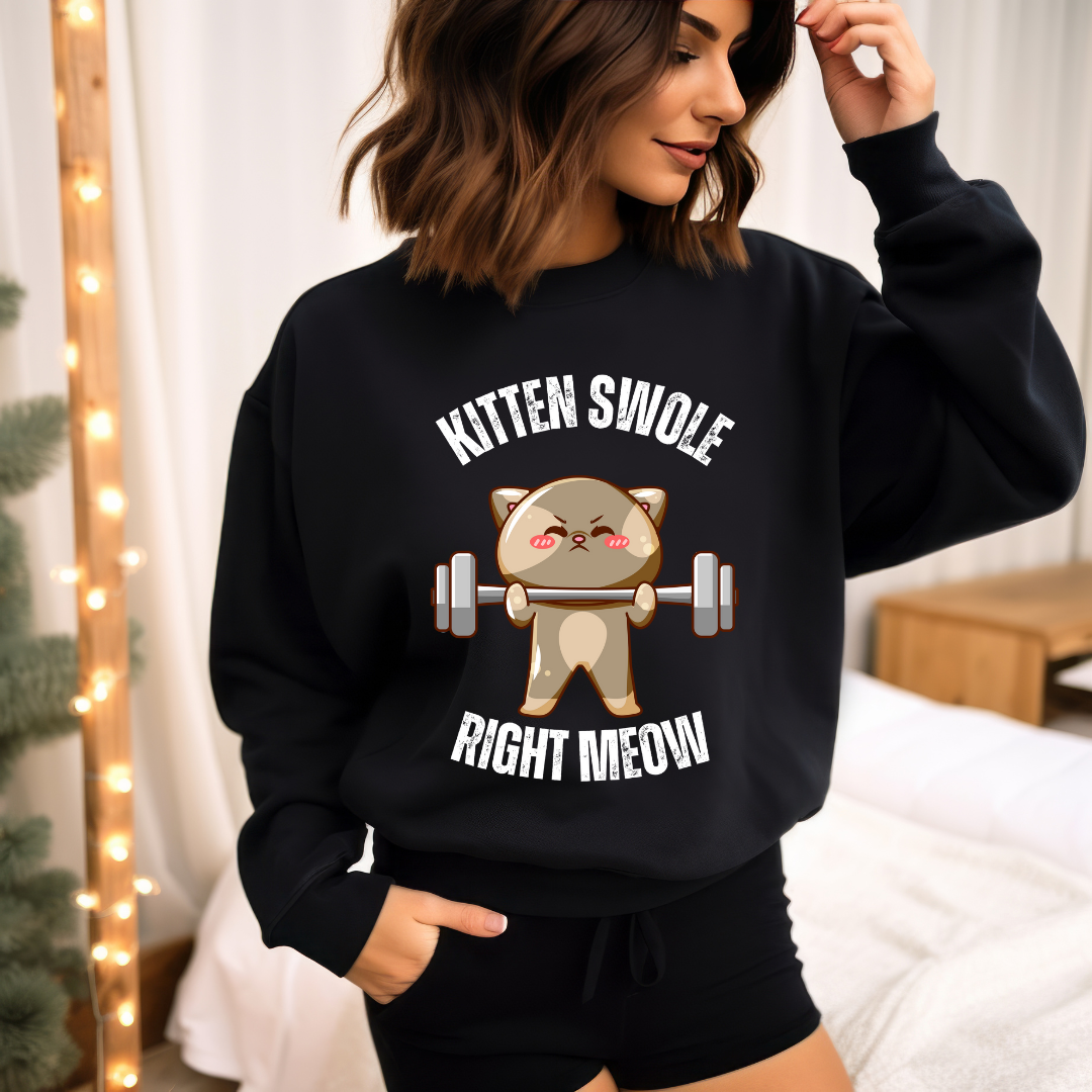 Cat SweatShirt Funny Cats sweatshirt- Cat Working out SweatShirt for Cat Lover gift for Gym Lover gift for Fitness Gift - Funny Cat Sweatshirt