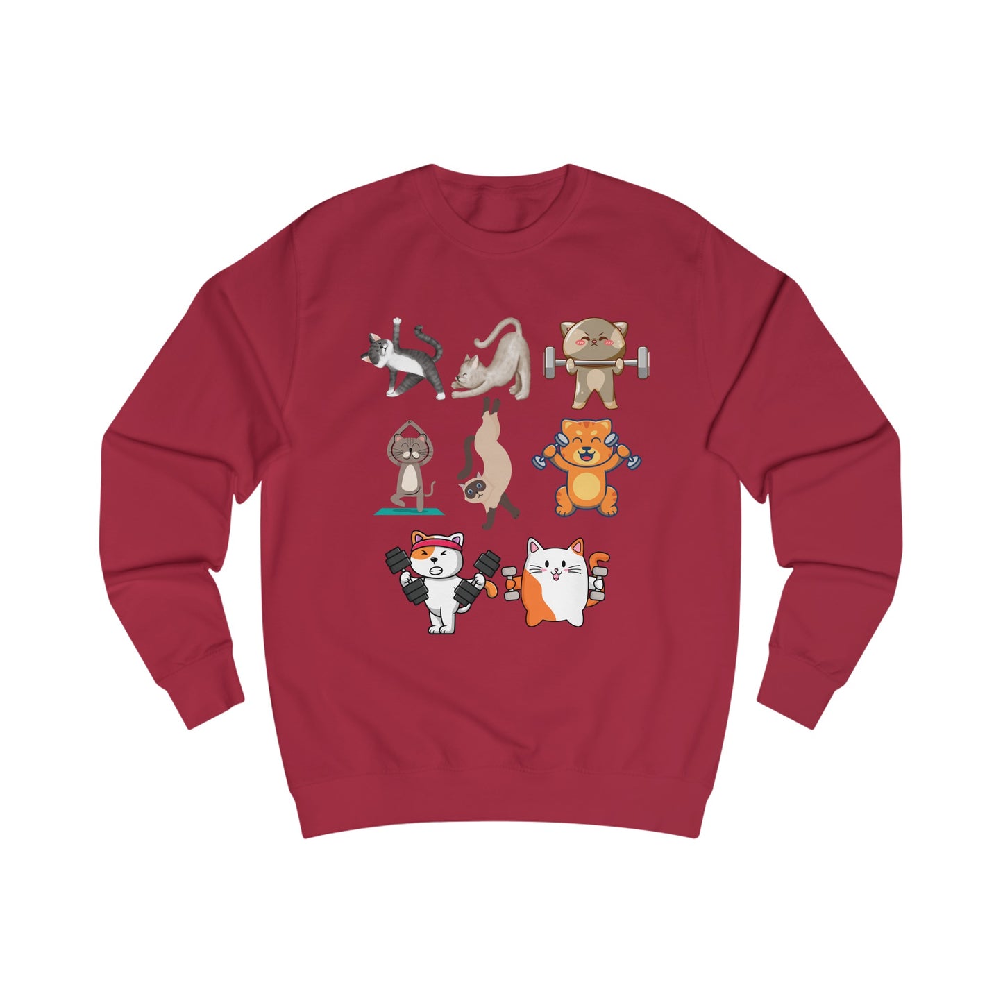 Funny Cats Working Out Sweatshirt Cat SweatShirts for Gym Lover gift for Cat Lover Cats Working Out Weightlifting Cats Lifting Weights Pull Over Sweater