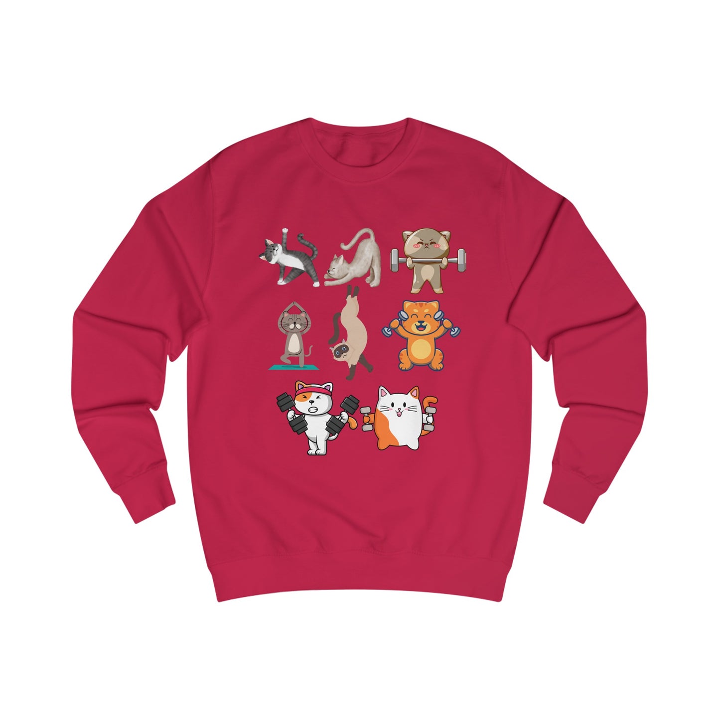 Funny Cats Working Out Sweatshirt Cat SweatShirts for Gym Lover gift for Cat Lover Cats Working Out Weightlifting Cats Lifting Weights Pull Over Sweater