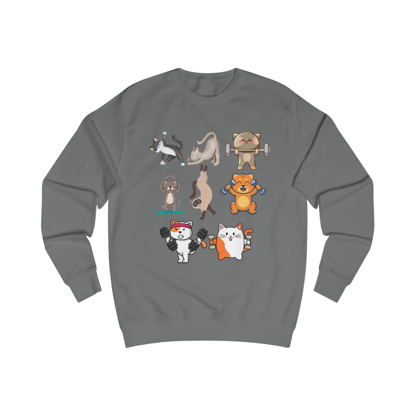 Funny Cats Working Out Sweatshirt Cat SweatShirts for Gym Lover gift for Cat Lover Cats Working Out Weightlifting Cats Lifting Weights Pull Over Sweater