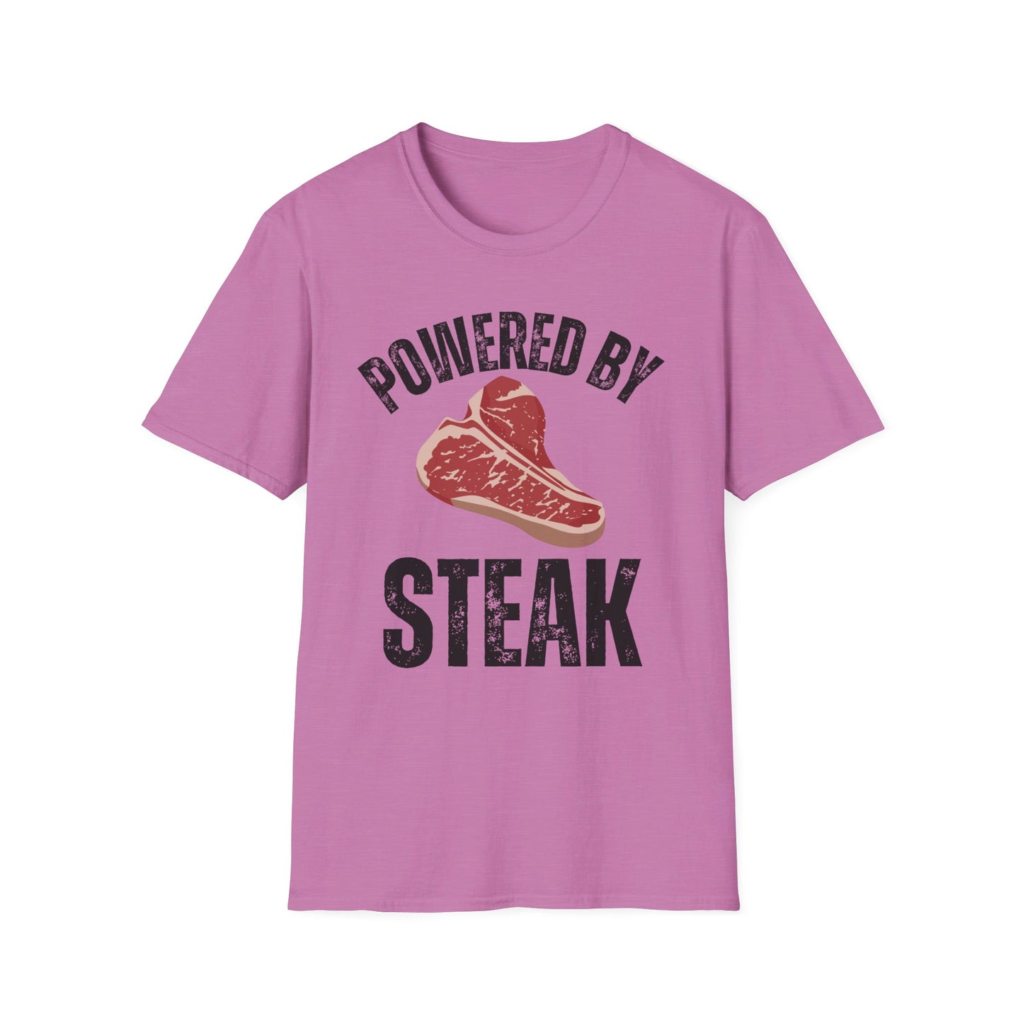Steak Lover gifts for Meat Lover T Shirts for Carnivore gift for BBQ Lovers Tee Shirt for Barbecue gift Grilling Powered By Steak T-shirt