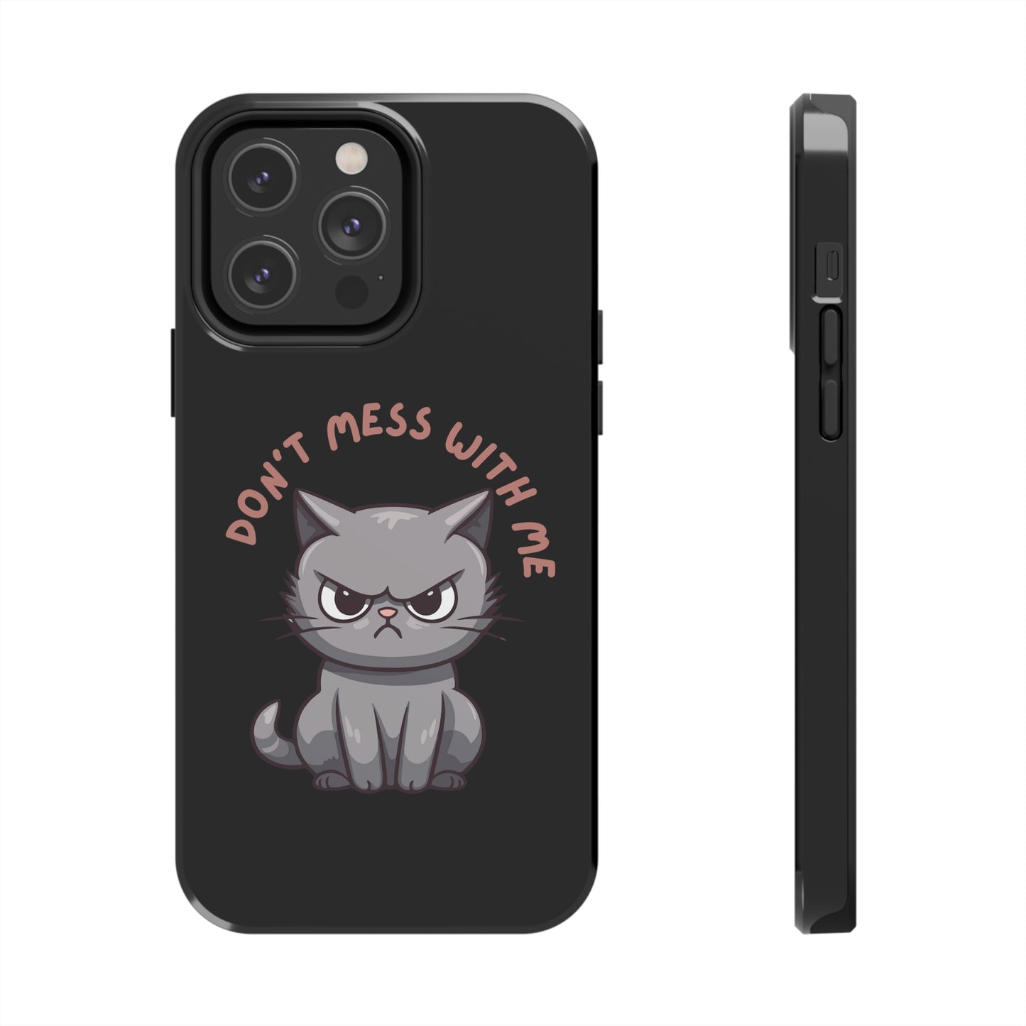 Funny Cat iPhone Case for Cat Lover gift for Friend gift for Cat Mom gift for Her ANGRY CAT Don't Mess With Me Cute CATS protective case