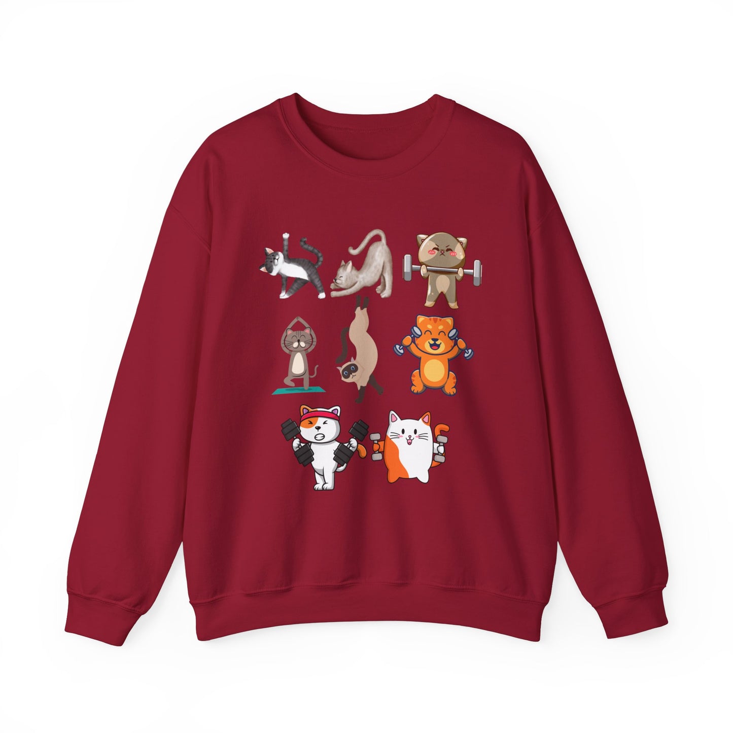 Funny Cat Pullover for Cat Lover gift for Fitness Lover gift for Gym Lover Cats Working out Sweat Shirt