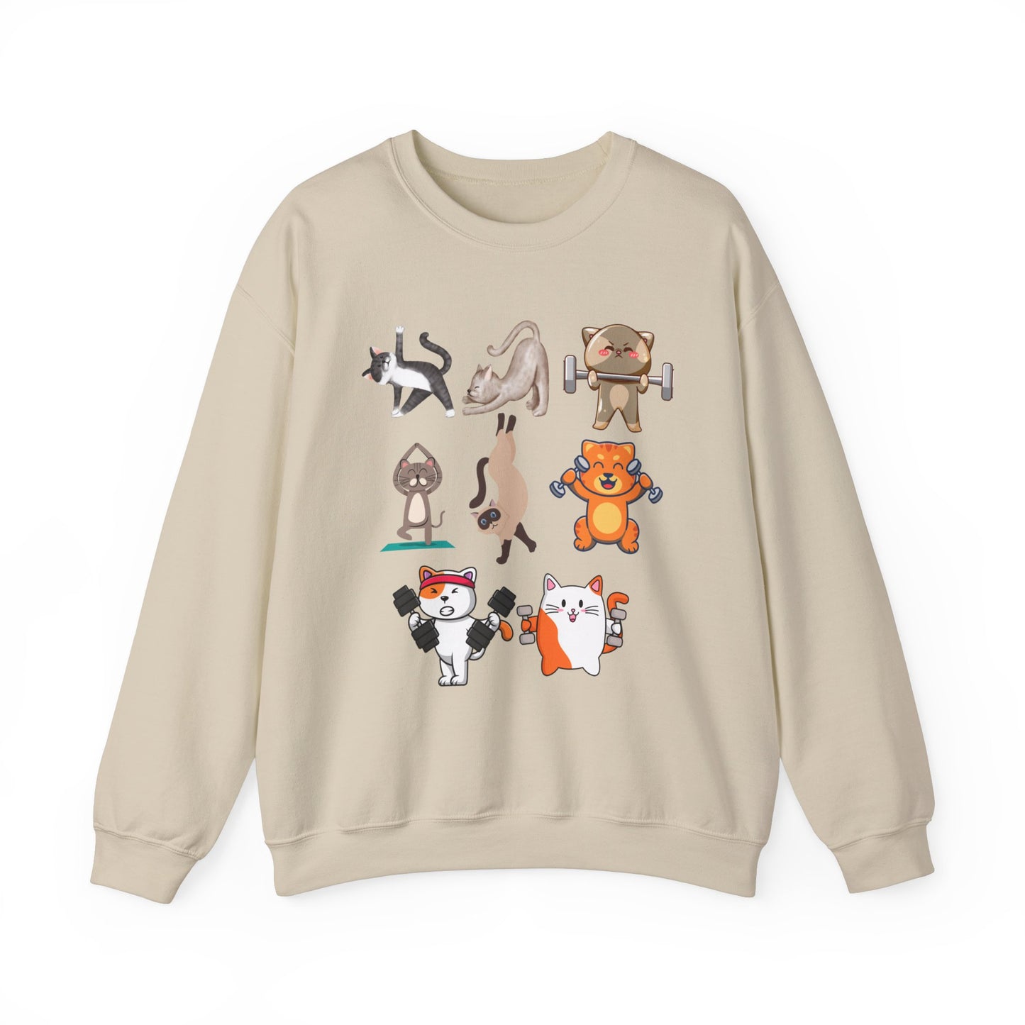Funny Cat Pullover for Cat Lover gift for Fitness Lover gift for Gym Lover Cats Working out Sweat Shirt