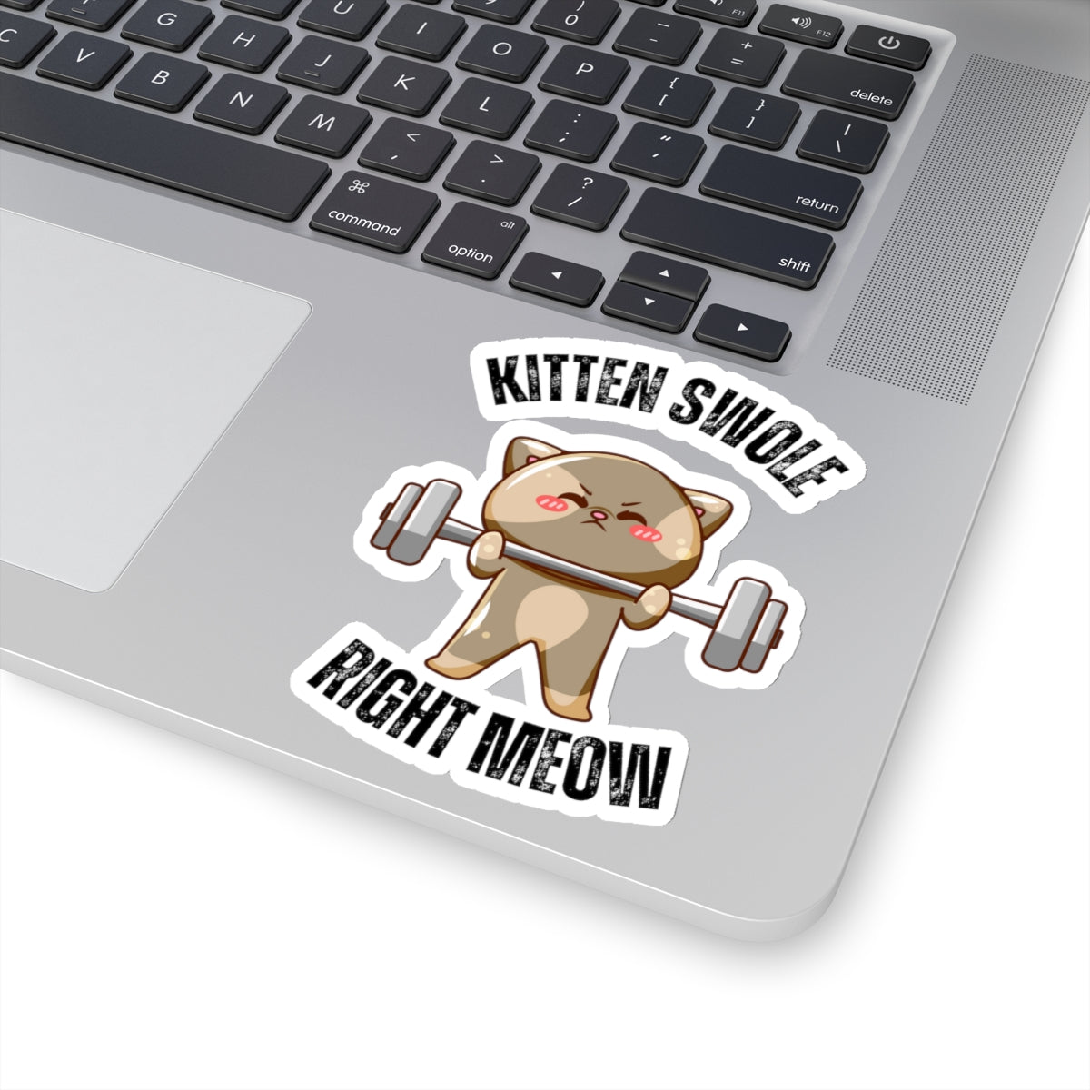 Funny CAT Weightlifting Sticker for Gym Lover gift for Fitness Lover gift for Cat Lover Sticker Funny Cat Stickers Kitten Swole Right Meow