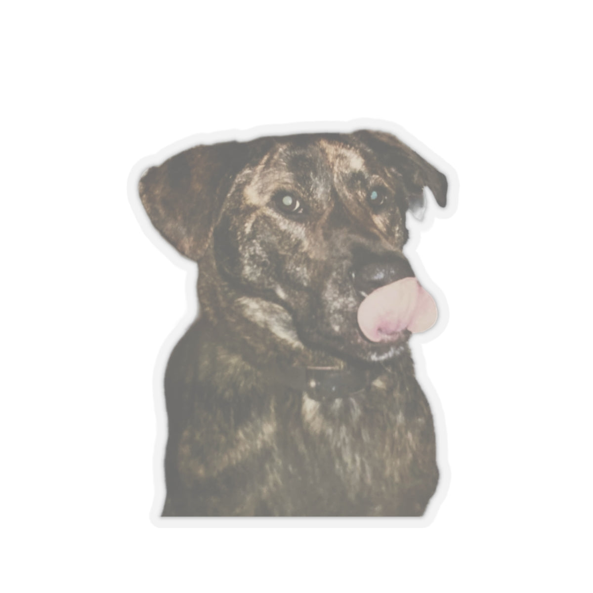Funny Dog Sticker for Dog Lover gift for Dog Mom Cute Brindle Dog Stickers for Dog Dad Gifts for Her Water bottle sticker for laptop
