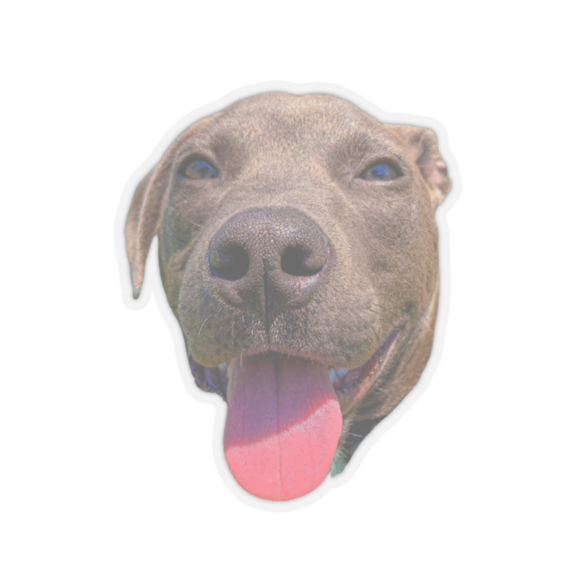 Pit Bull Sticker Cute Dog Stickers for Dog Lover gift for Dog dad gifts for Dog Mom Funny & Cute Pit Bull Dog Sticker Kiss-Cut Stickers