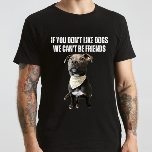 If You Don't Like DOGS We Can't Be Friends T-shirt Pit Bulls Shirt Pit Bull Shirt for Pit Bull Lover Gift Cute Gray Pittie Pibble Shirt