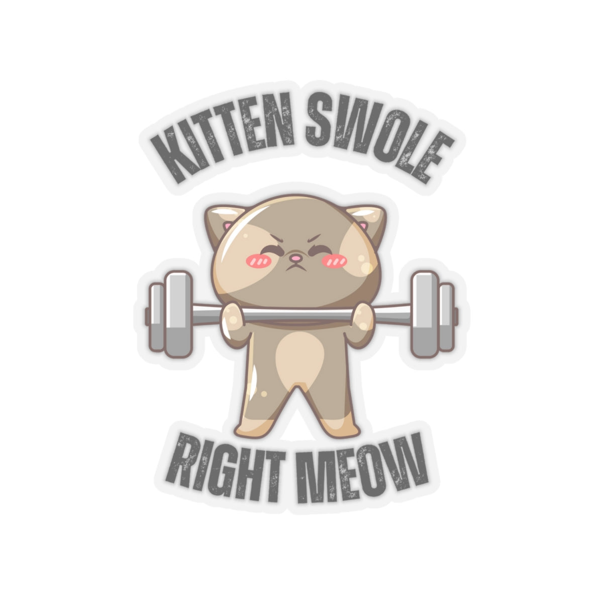 Funny CAT Weightlifting Sticker for Gym Lover gift for Fitness Lover gift for Cat Lover Sticker Funny Cat Stickers Kitten Swole Right Meow
