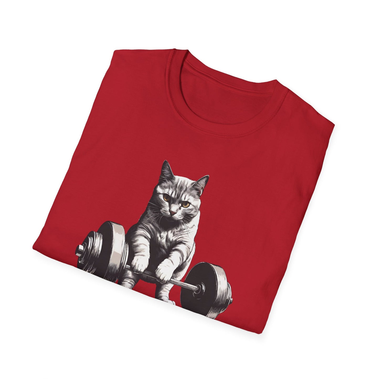 Cat Deadlifting Shirt for Gym Rat gifts for Workout Lover gift for Cat Lover T-shirt Funny Cats Lifting Weights T Shirts Kitty Powerlifting Weightlifting
